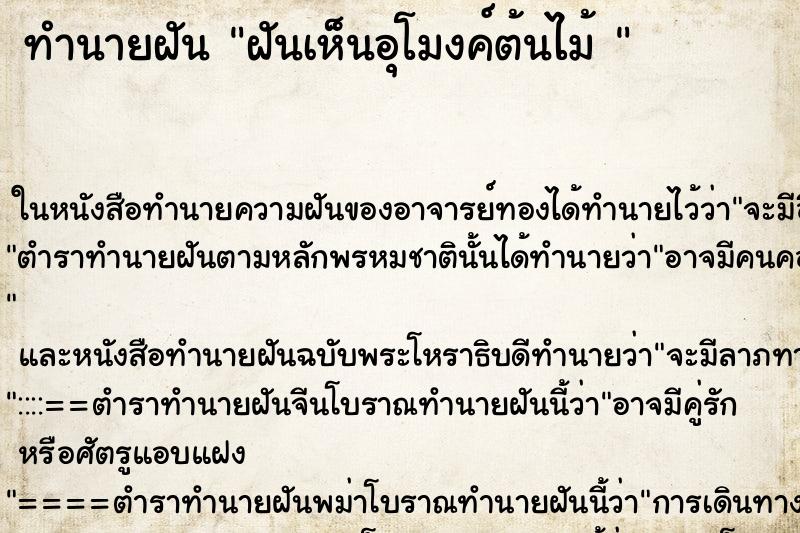 ทำนายฝันทำนายฝันฝันเห็นอุโมงค์ต้นไม้